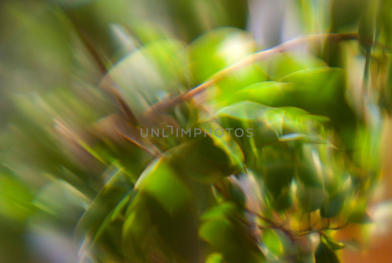 Defocused leaves. Abstract background with bokeh