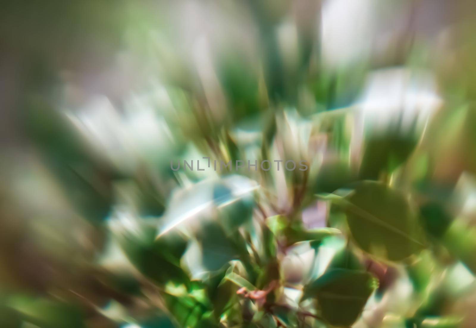 Defocused leaves. Abstract background with bokeh
