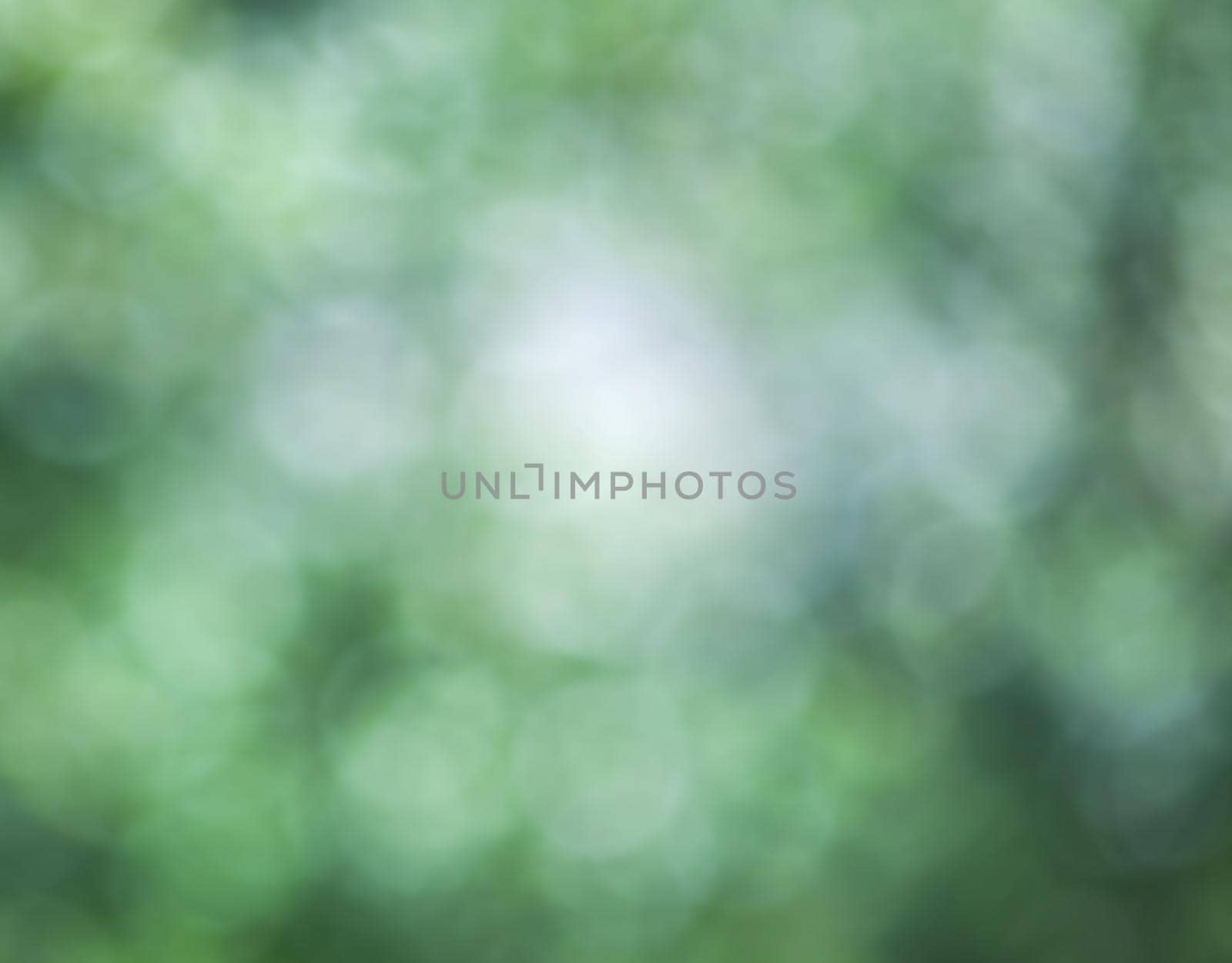 Blur green leaves with bokeh, abstract blurred background, template