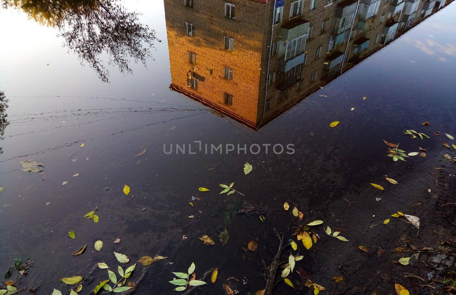 A large autumn puddle reflects the sky and an apartment building.
