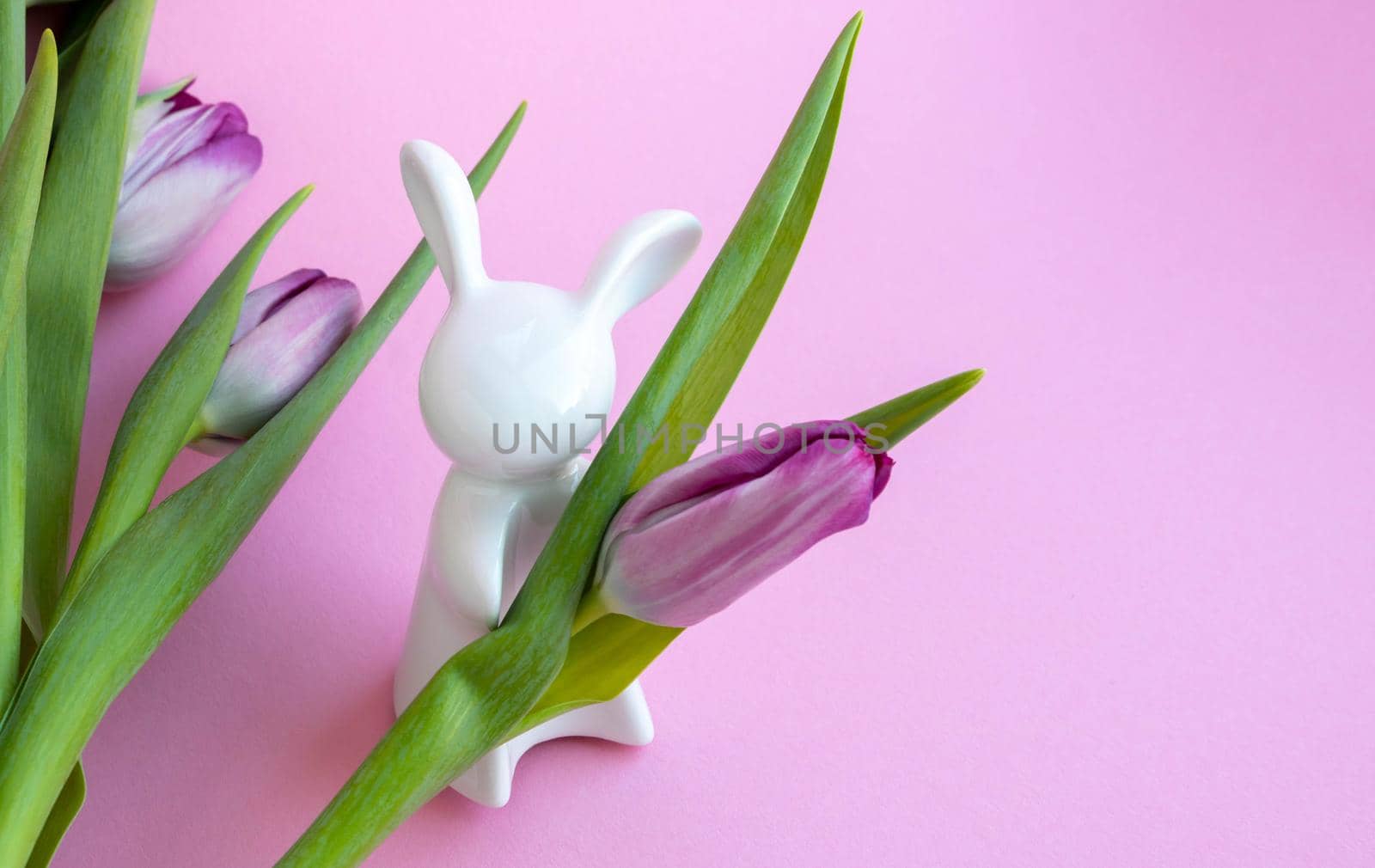 Easter bunny and lilac tulips on pink background, Easter celebration concept.