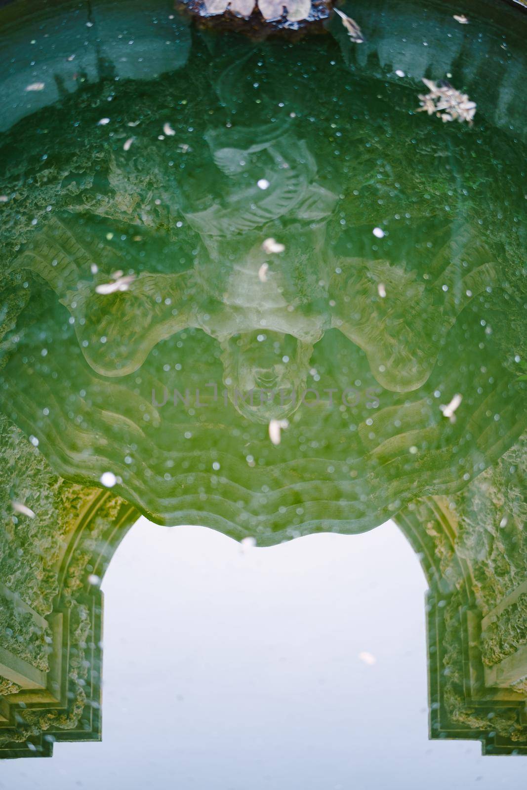 A reflection in the water of a stone statue of a naked angel woman, holds a stone with wings-arms, her legs are twisted into a tail. by Nadtochiy