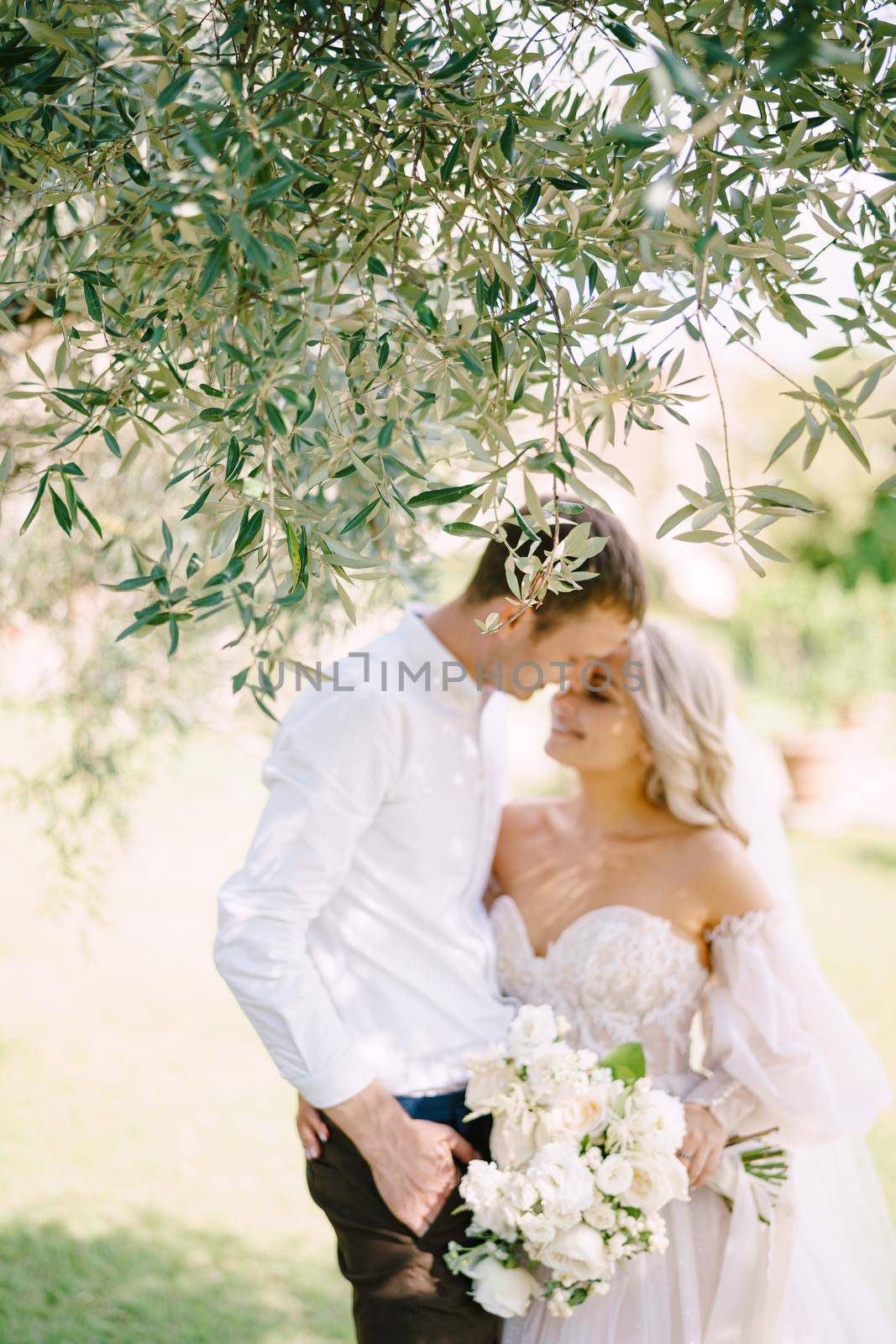 Wedding in Florence, Italy, in an old villa-winery. The wedding couple stands under an olive tree. The bride and groom walk in an olive grove.