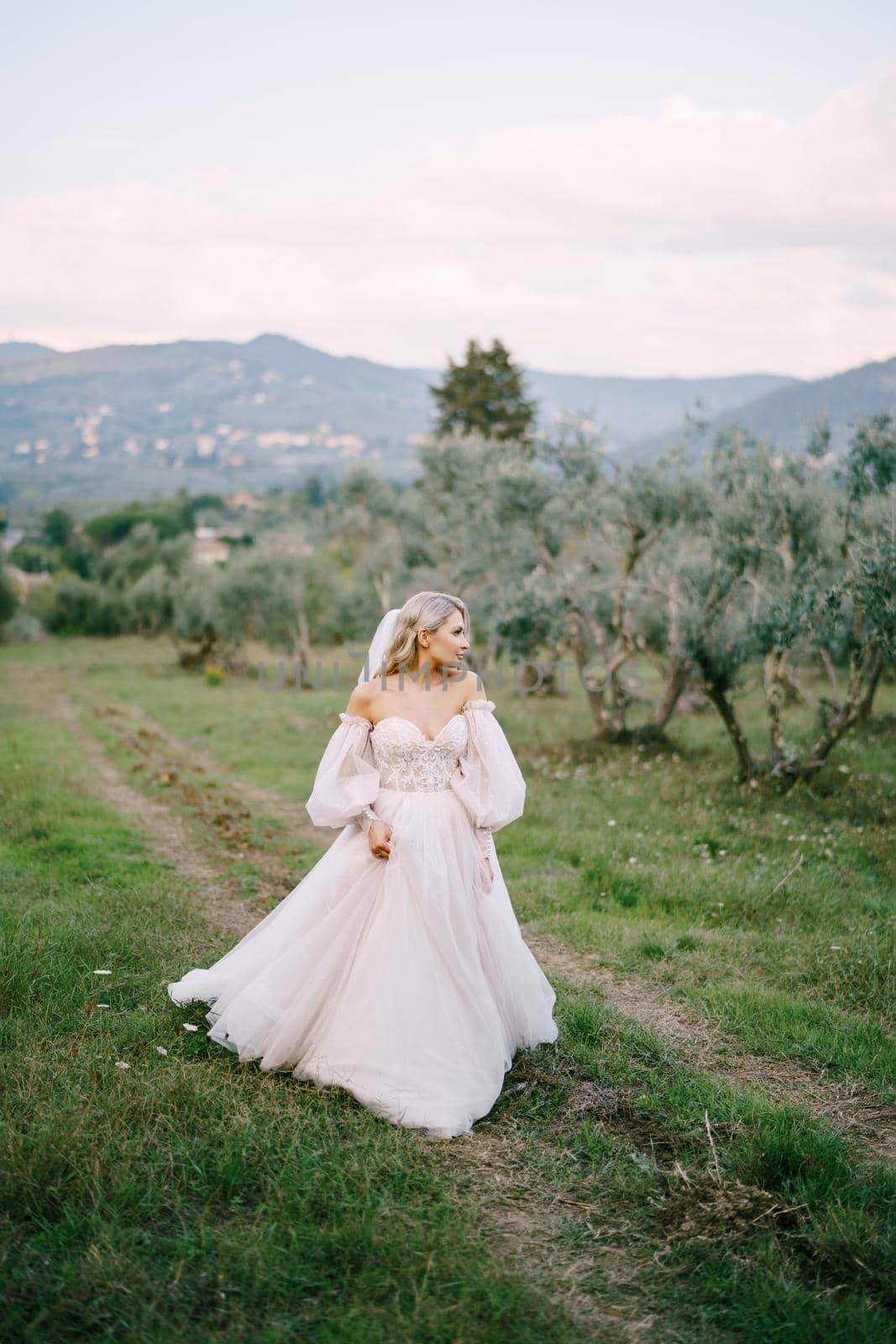 Wedding at an old winery villa in Tuscany, Italy. The bride in white wedding dress in an olive grove.