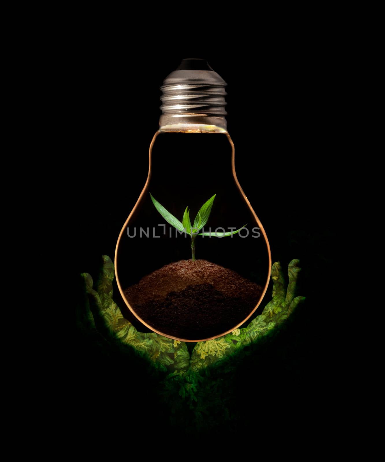 Green hand holding a light bulb with fresh green leaves inside, isolated on black background. by thanumporn