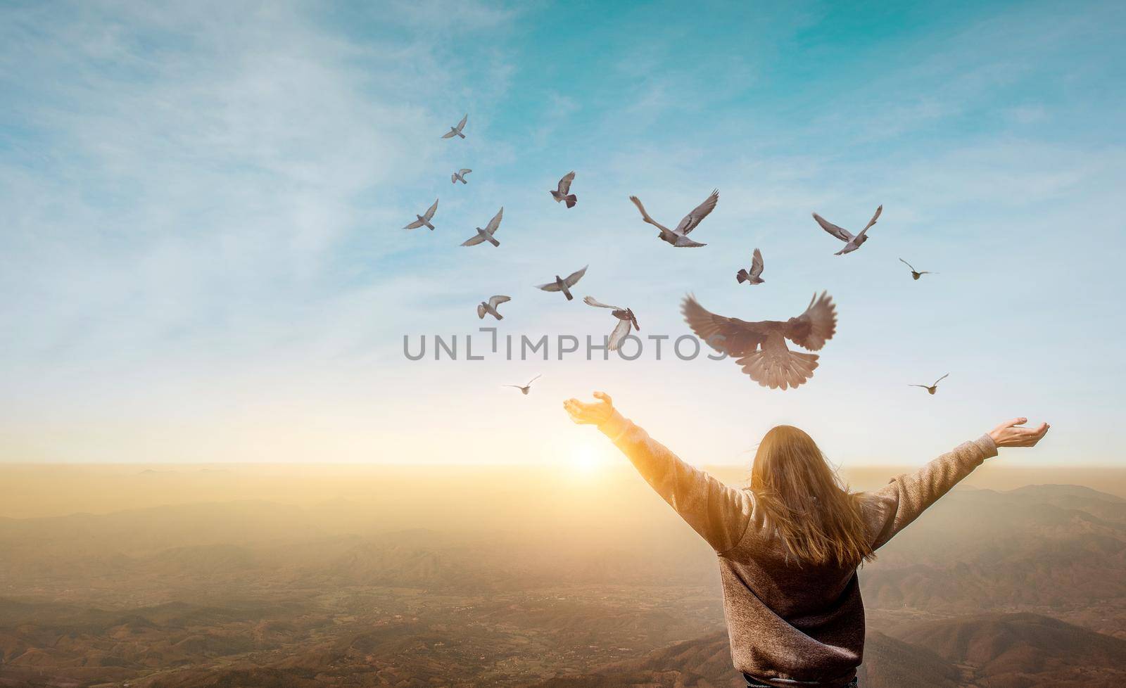 Freedom of life, free pigeon and woman enjoying nature on sunset background, freedom concept. by thanumporn