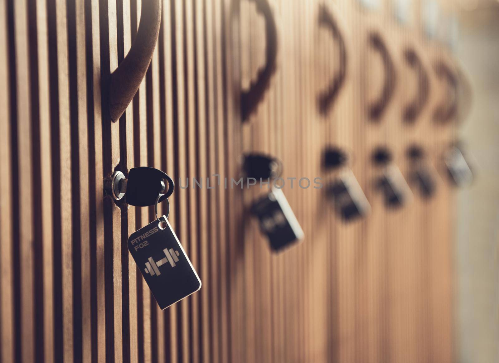 Modern Wood Lockers cabinets in a locker room at fitness. by thanumporn