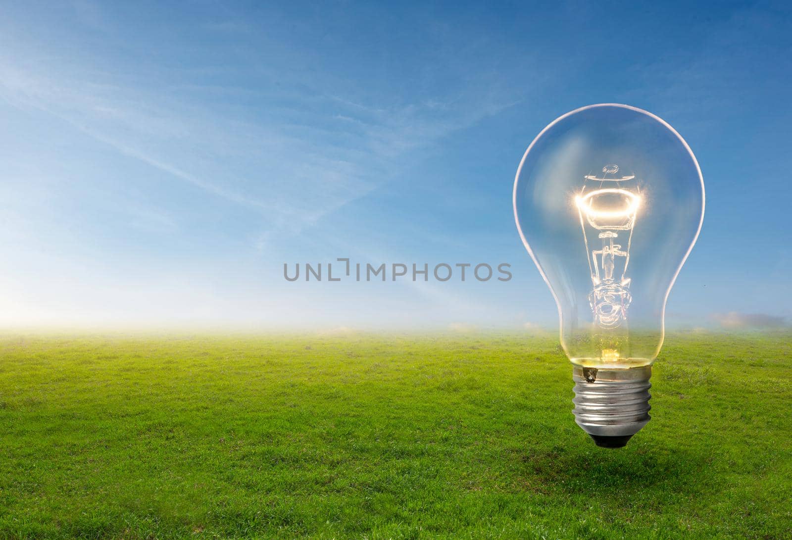 Light bulb grow in the grass against blue sky. Forest conservation and Eco concept. by thanumporn