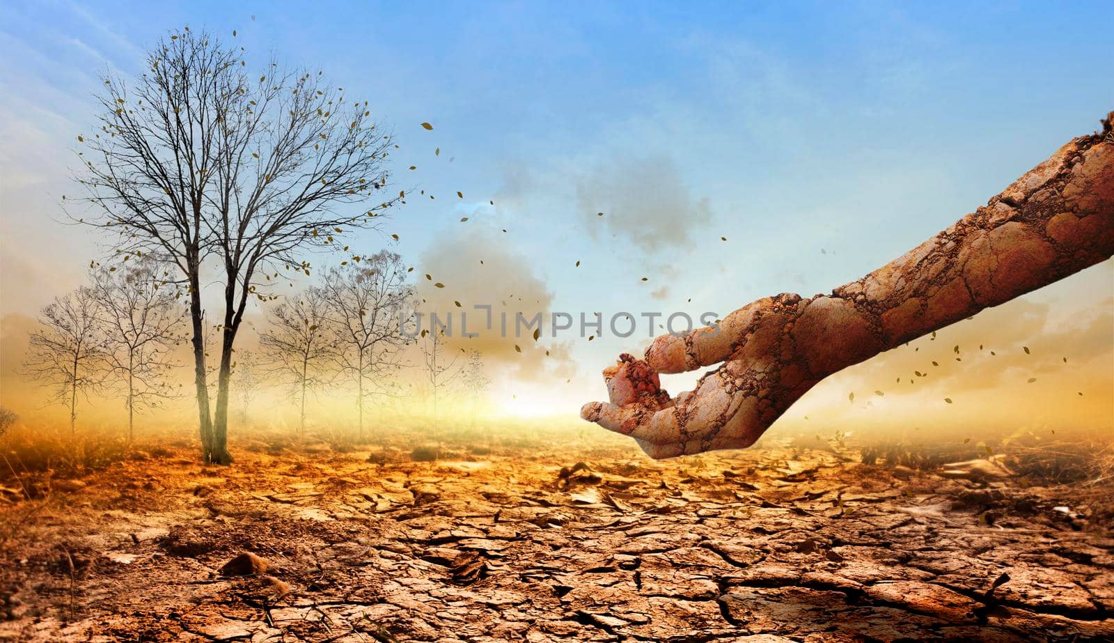 The dry, cracked hand from the dry ground on dead tree background.Concept of global warming.