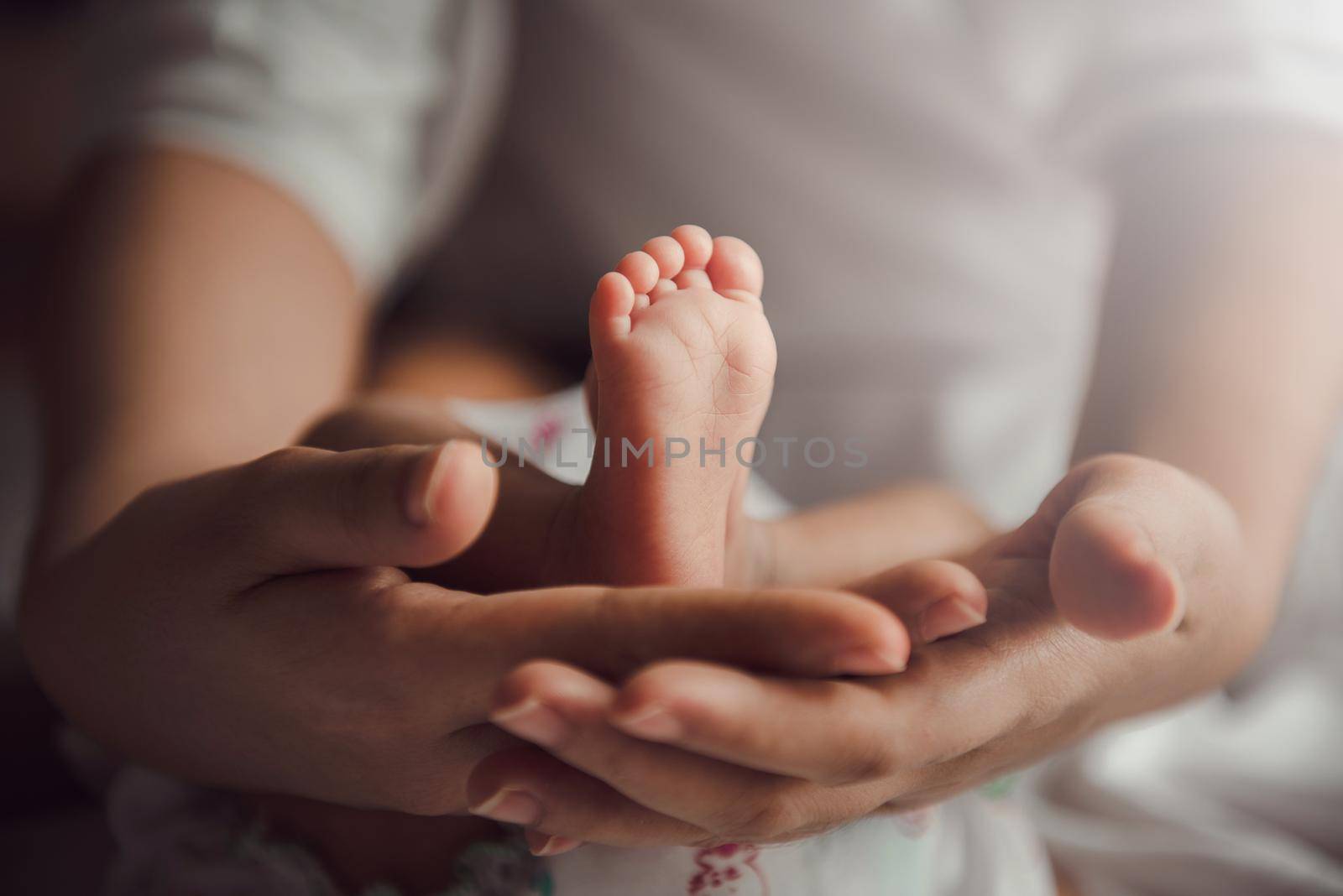 Parent holding in the hands feet of newborn baby. by thanumporn