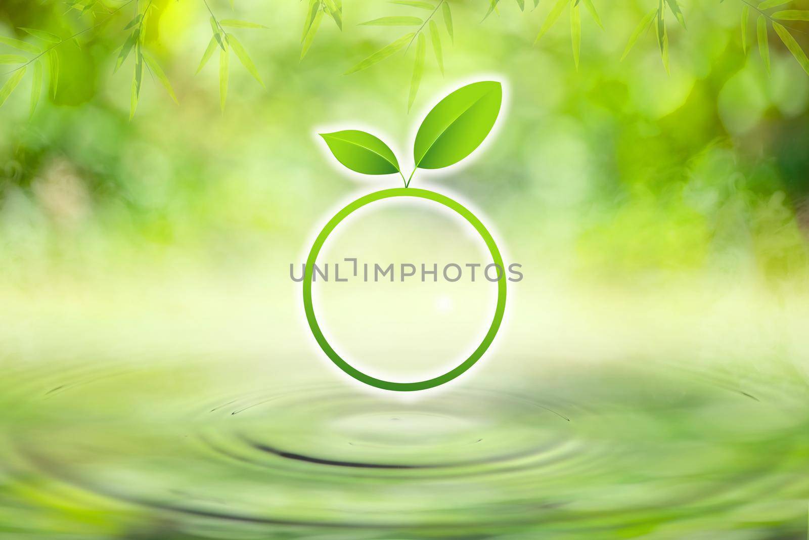 Green leaf circle on drop falling in water with ripples with light green bokeh background.