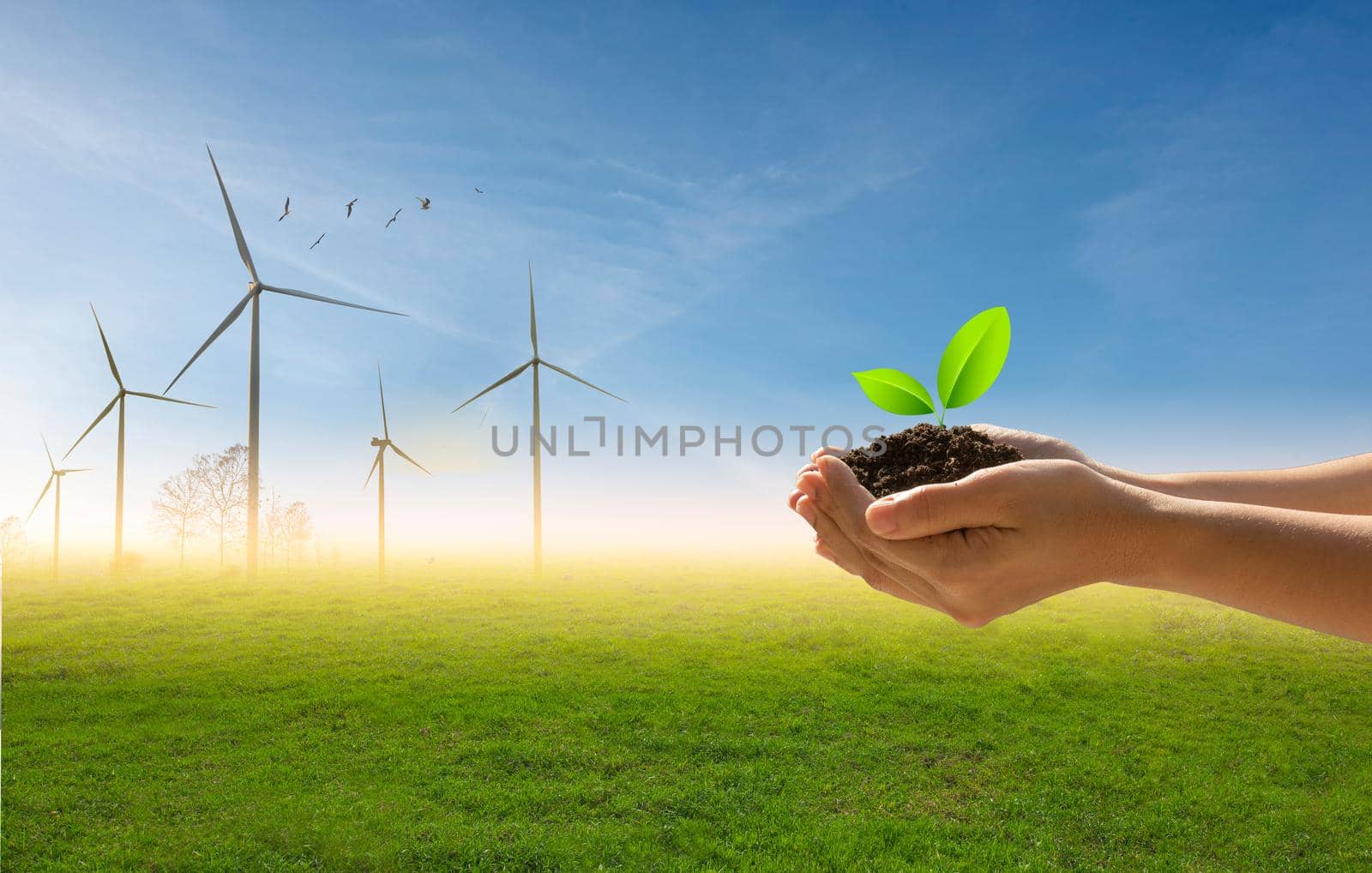 A small green tree in hand on the background of flock of birds, blue sky and green field with turbines.Green energy and nature concept. by thanumporn