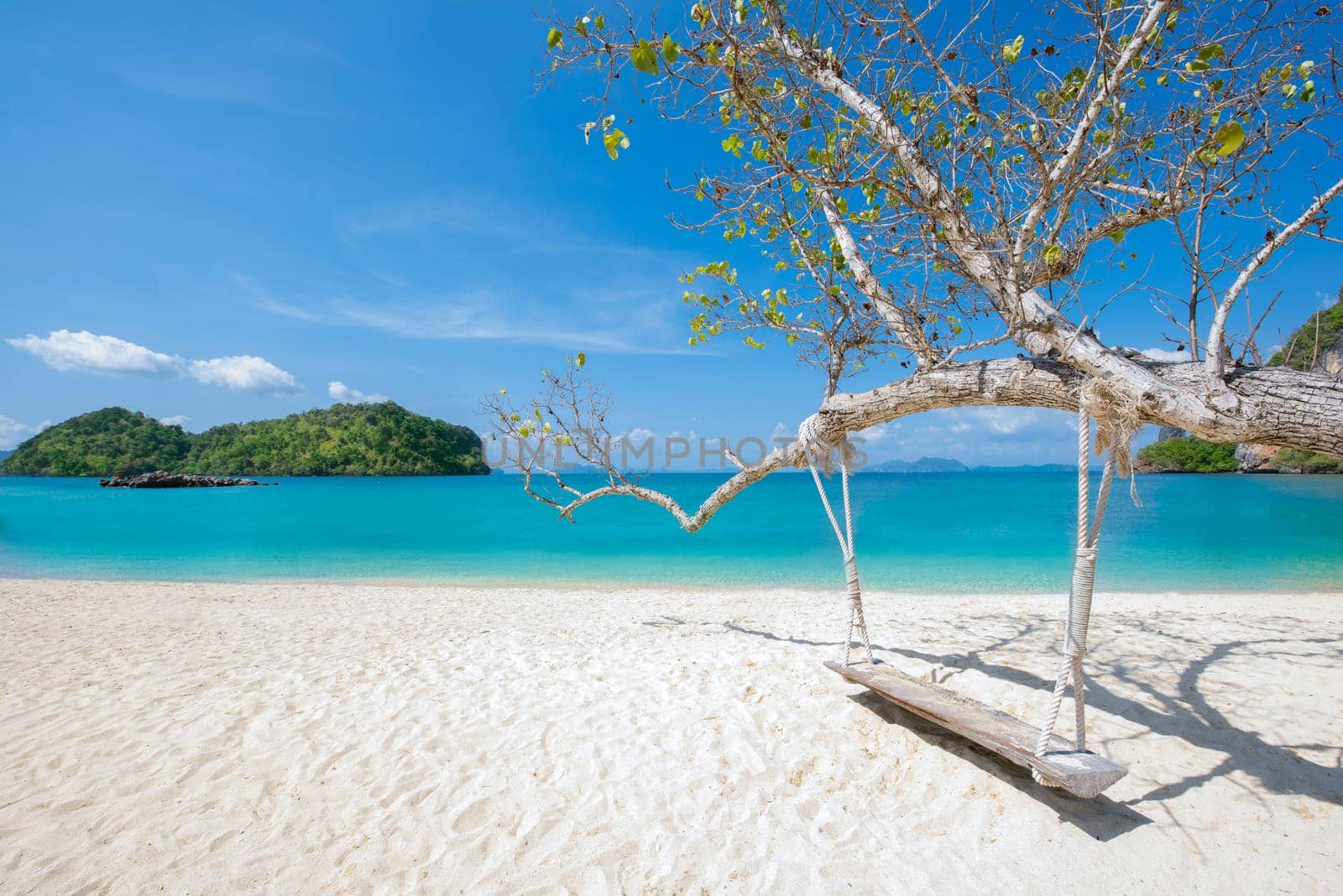 Wooden swing hang under tree at Koh Phak Bia Island, Krabi, Thailand. Travel destination and nature environment concept , summer holiday background.