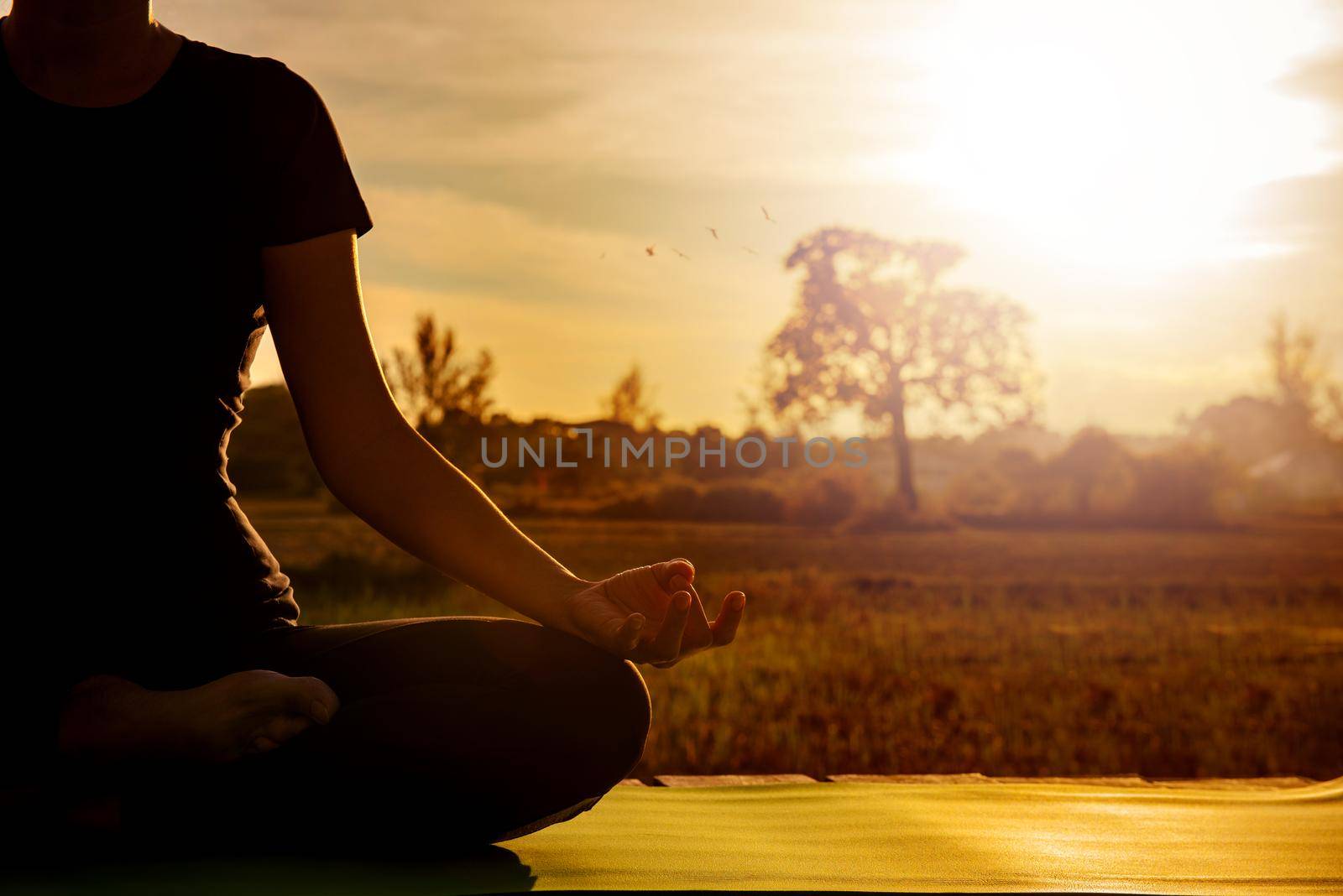 Young woman practicing yoga in the nature.Healthy and Yoga Concept.Copy space for banner. by thanumporn