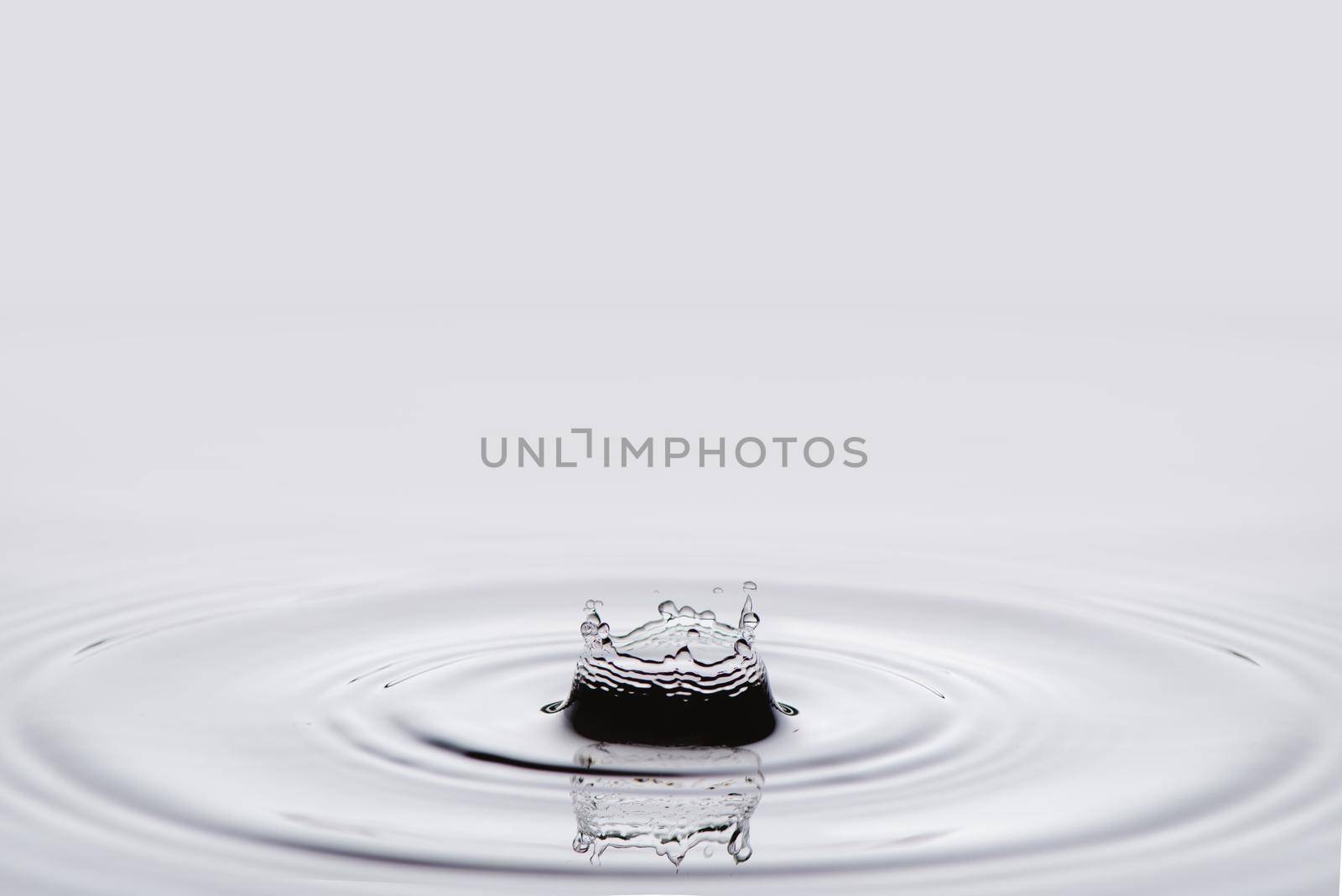 Water splash isolated on white background. by thanumporn