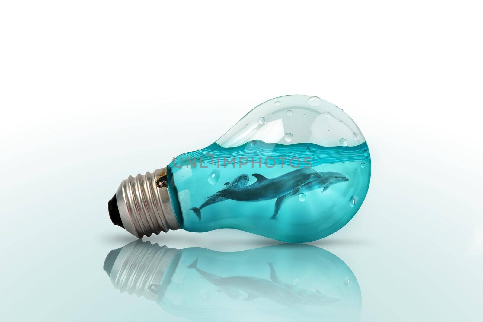 Light bulb with Dolphins swimming inside on blue background .  Flat lay. Pattern.