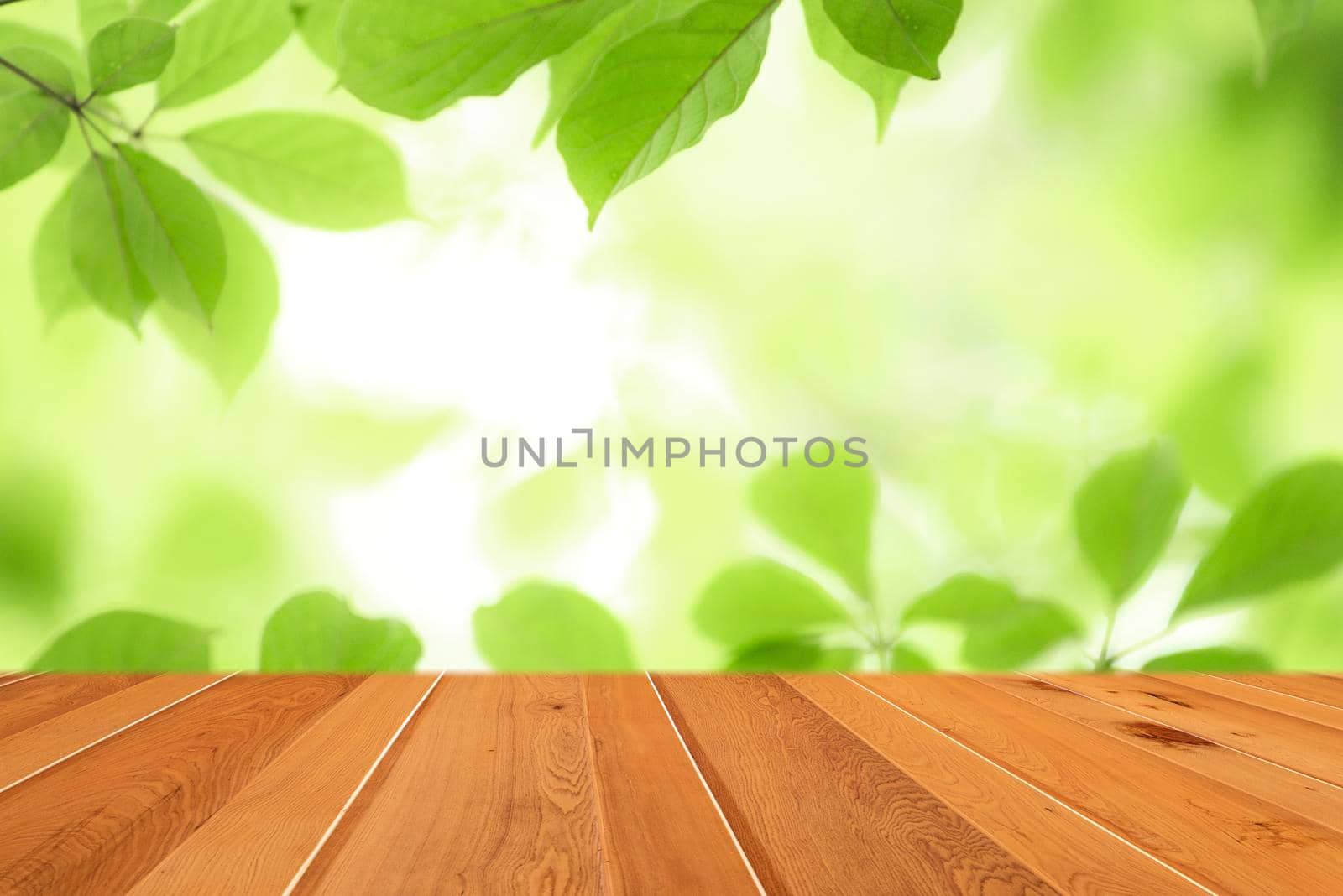 Wood table top on blur abstract green leaf from garden in the morning background.