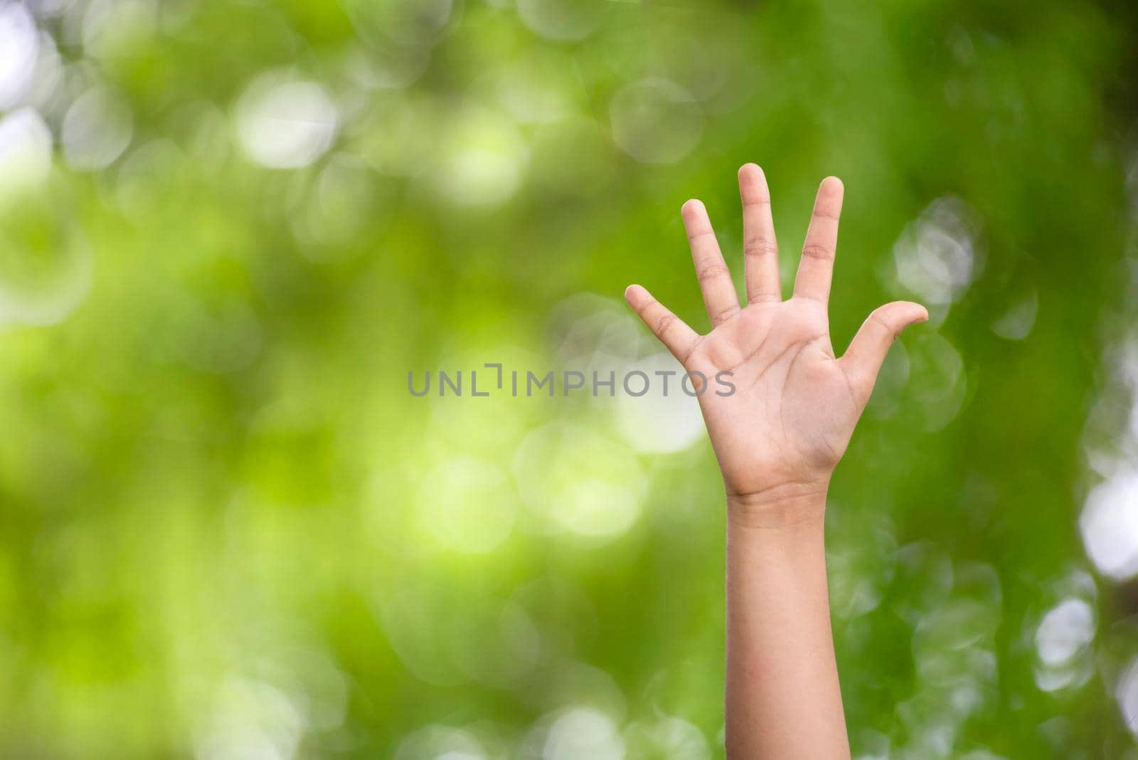 Girl hands on nature bokeh sun light flare and blur leaf abstract background.