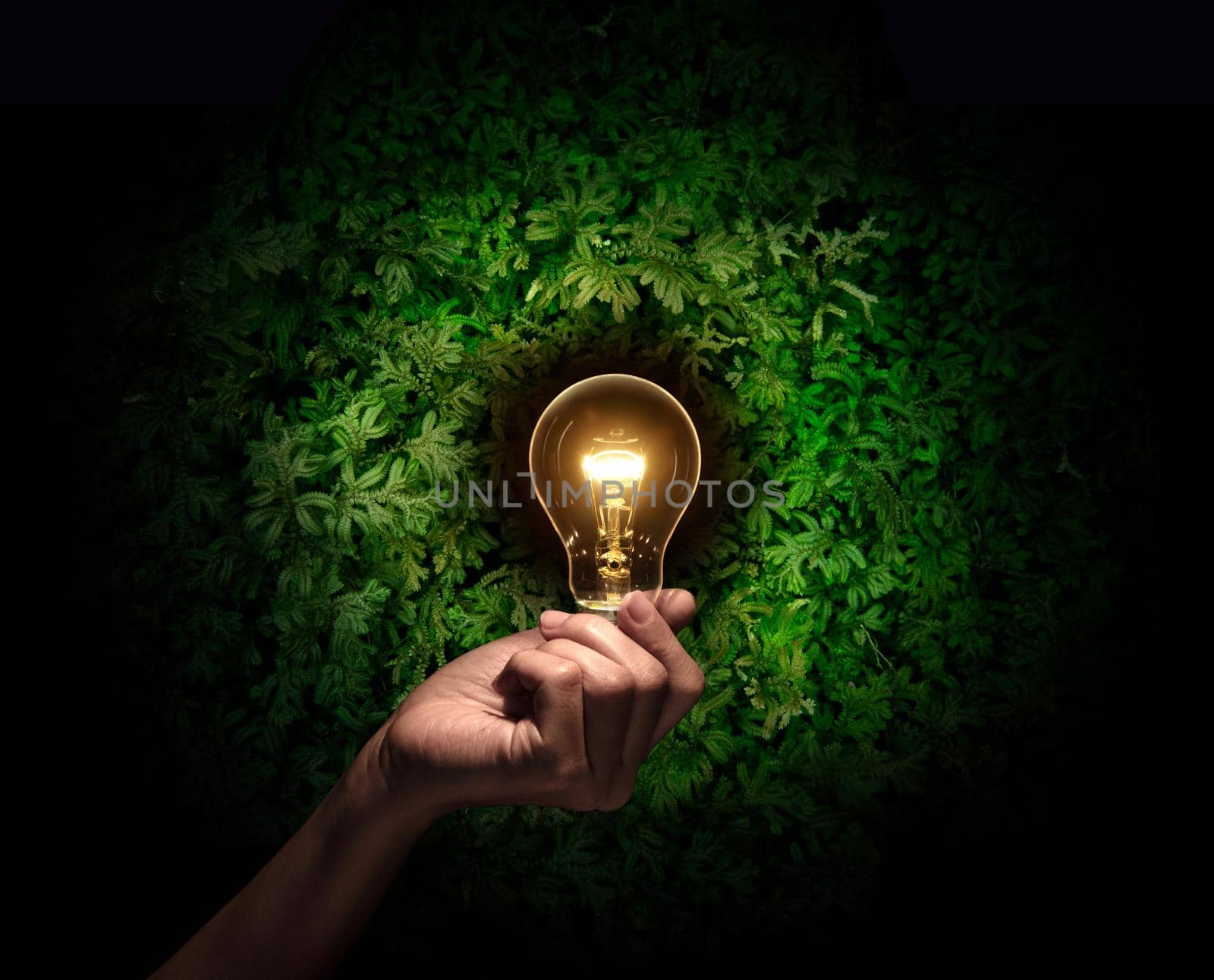 hand holding a light bulb with fresh green leaves inside on nature background. Concept save energy efficiency. by thanumporn