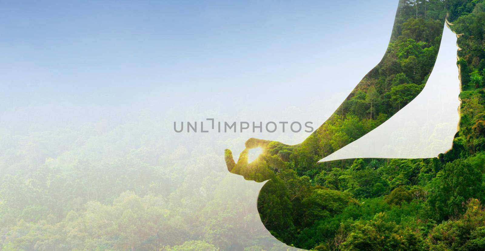 Double exposure woman hands and tree practicing yoga and meditation in the lotus position at the forest.