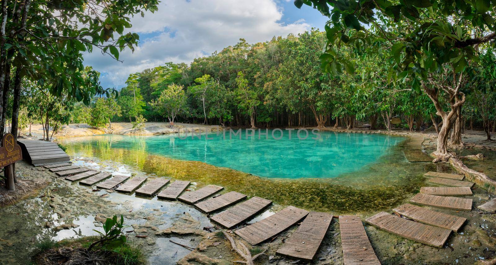 Emerald Pool is unseen pool in mangrove forest at Krabi in Thailand.