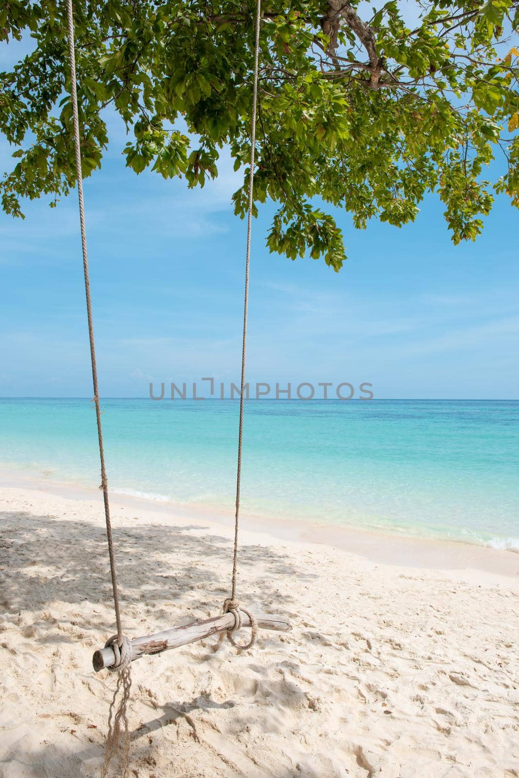 Wooden swing hang under tree at Koh Phak Bia Island, Krabi, Thailand. Travel destination and nature environment concept , summer holiday background. by thanumporn