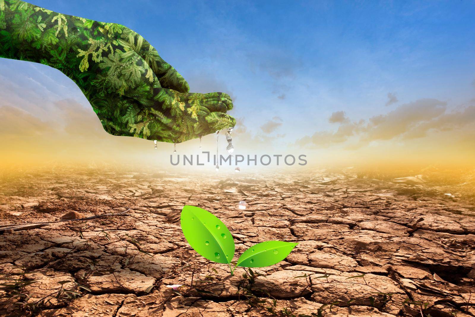 Green hand watering the tree on. Cracks of the dried soil in arid season on orange sky background. Global warming and Nature concept.