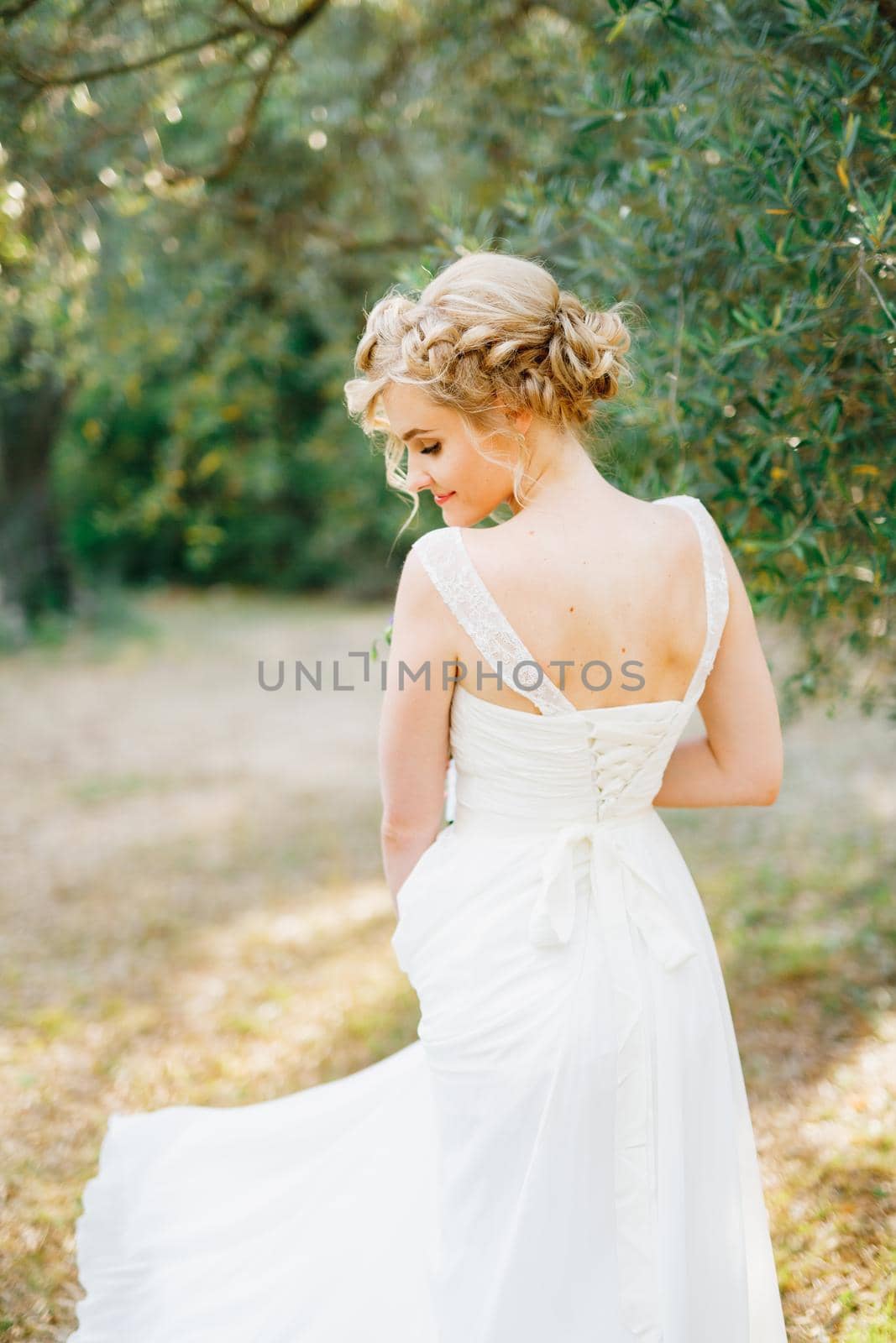 A gentle blonde bride stands by an olive tree in the middle of a grove, back view. High quality photo