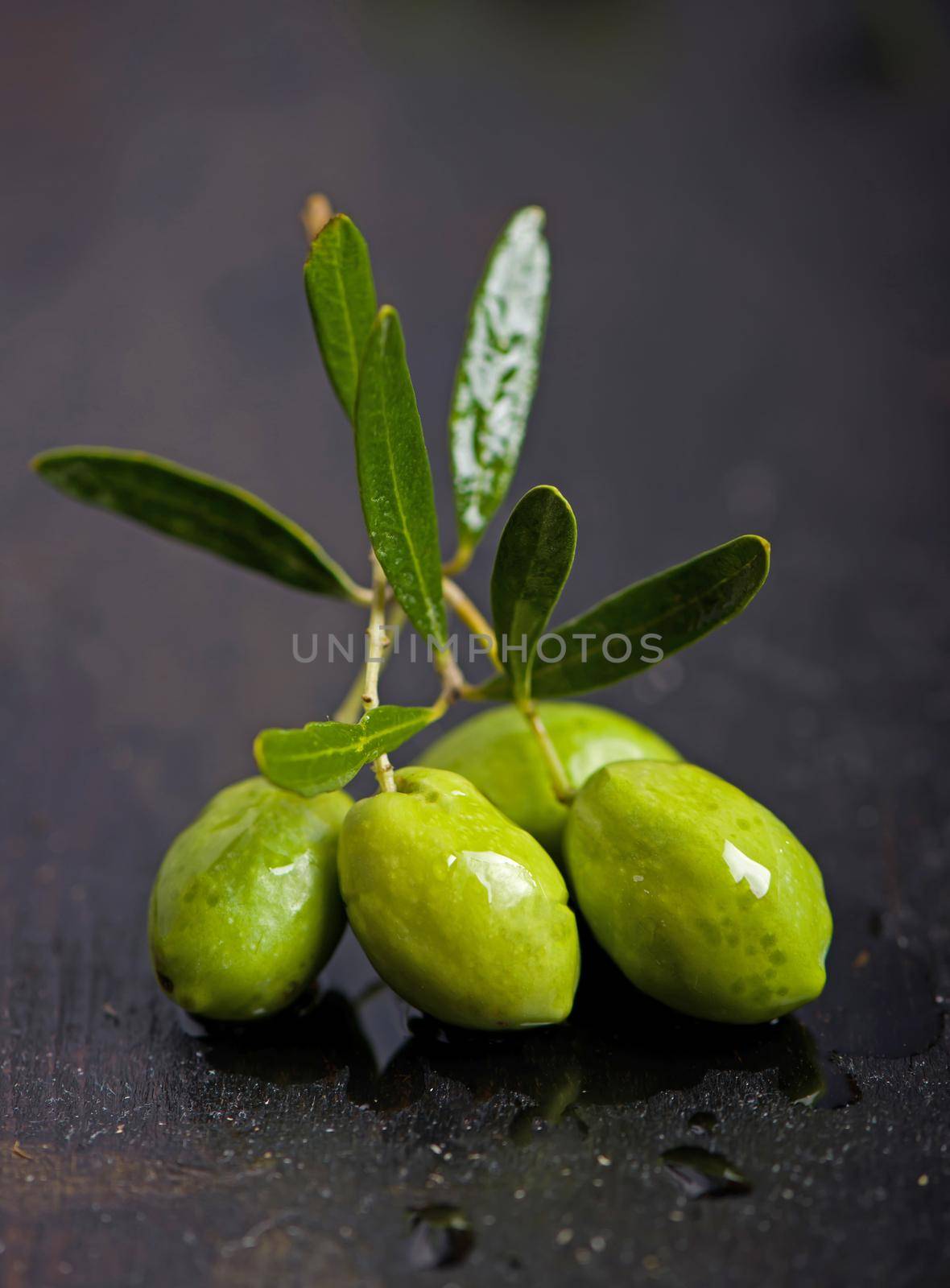 Olive oil and olive branch on the black background