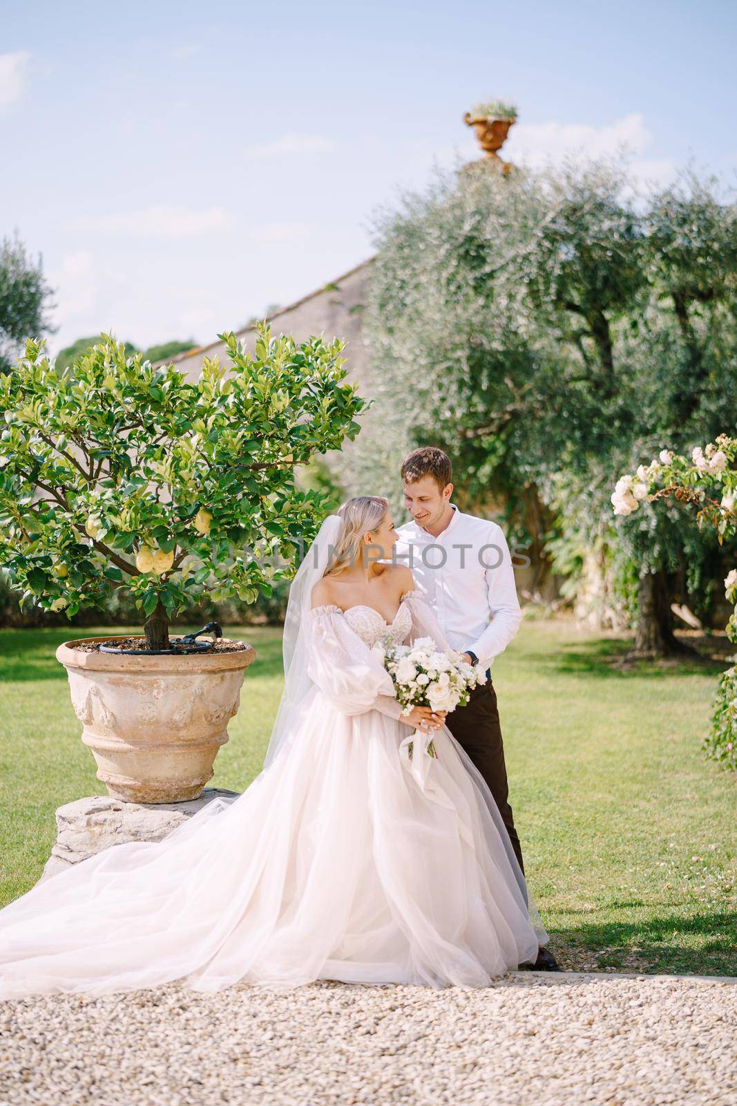 Wedding couple in the garden. The groom hugs the bride near the lemon trees. Wedding in Florence, Italy, in an old villa-winery. by Nadtochiy