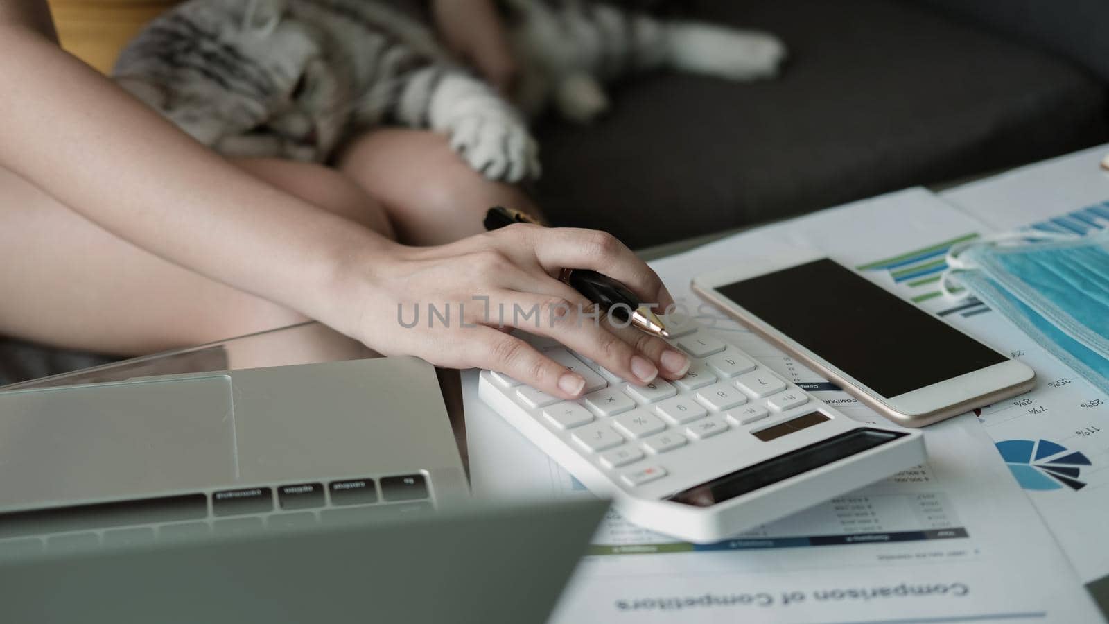 Female Hands Working On calculator for counting financial With her cat by nateemee