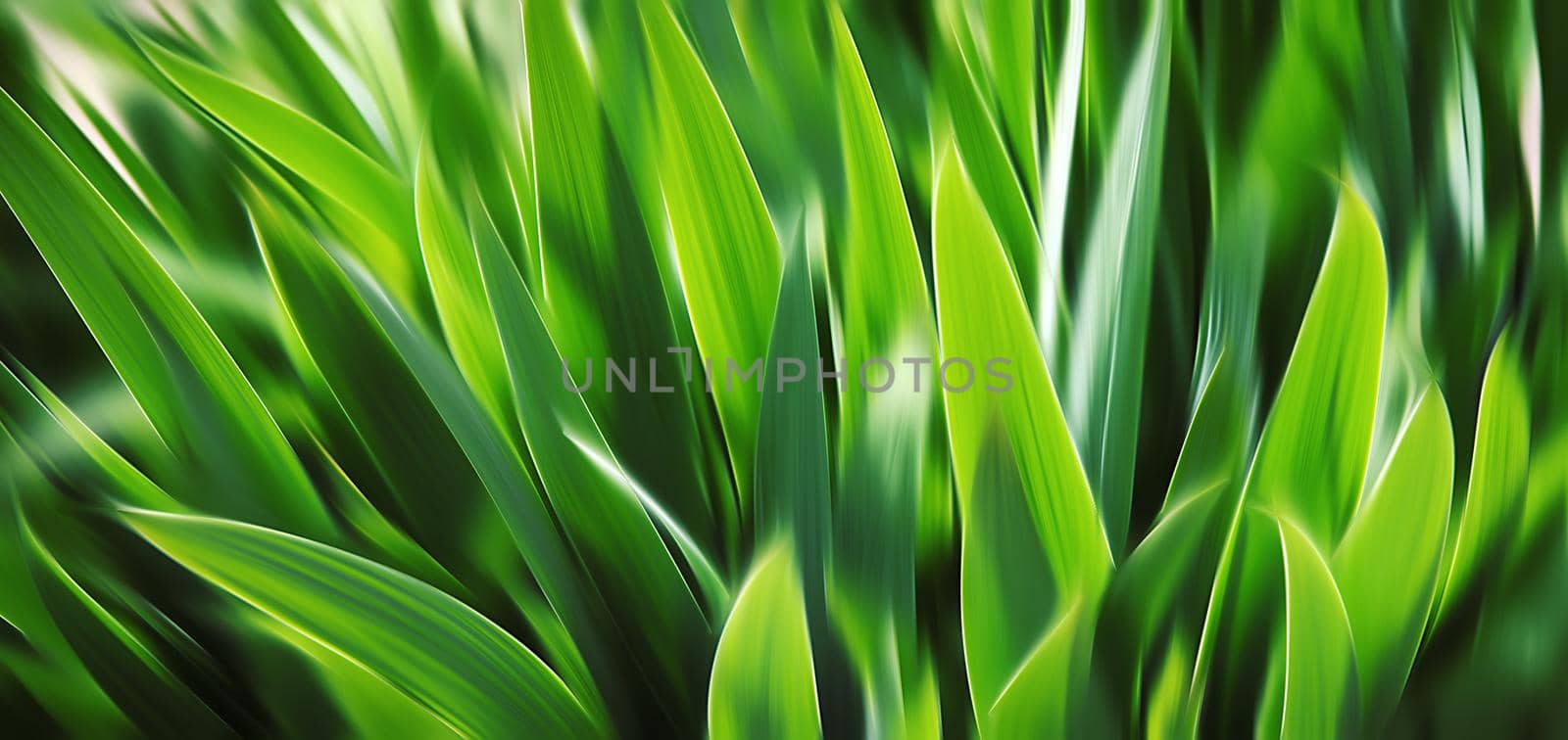 Abstract blurred green grass. by palinchak