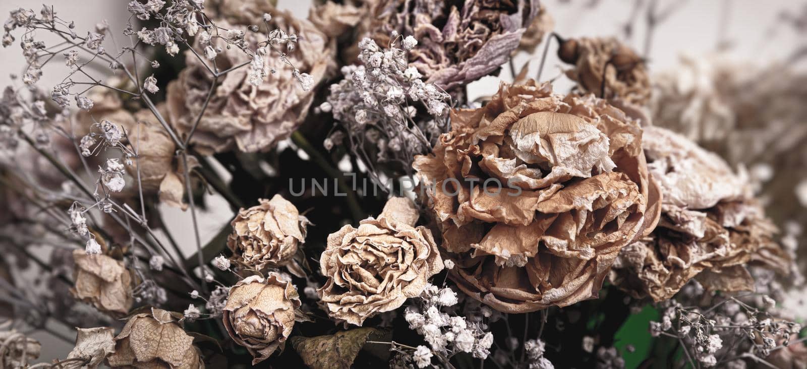 Dry bouquet. Close-up image of dried flowers in a bouquet. Life and death concept. Withered flower background