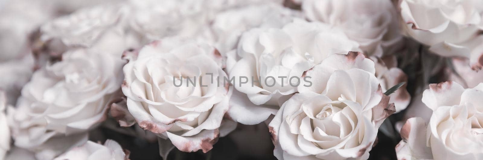 Floral background and texture. Light yellow roses with pink petals