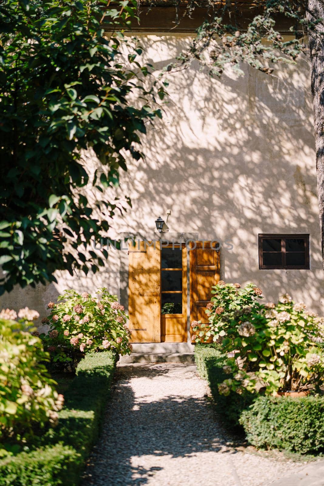 Old wooden door open and the facade of the old villa in Italy, in Tuscany, near Florence. under the shade of trees, hydrangea flower pots illuminated by the sun.