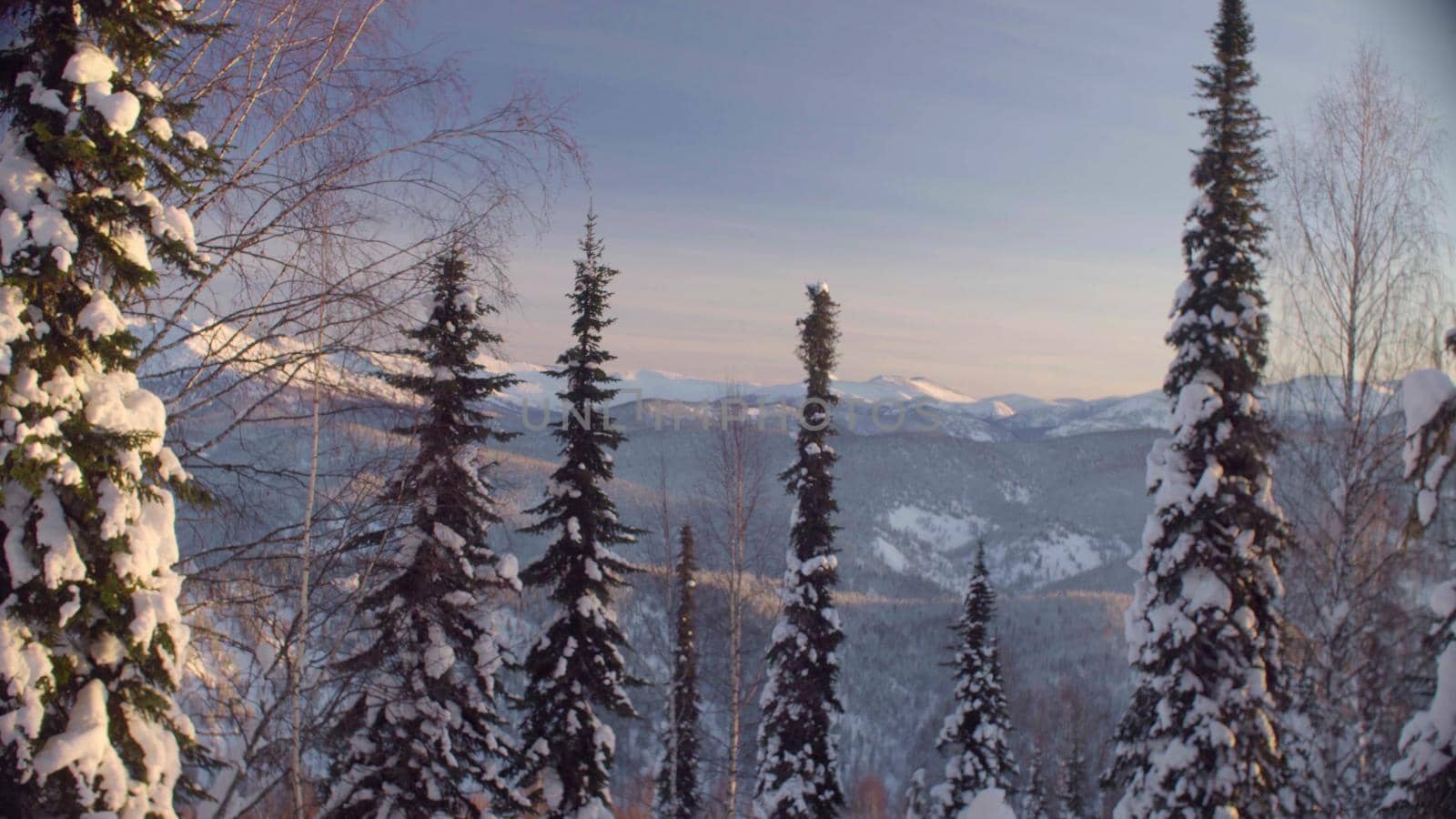 Panoramic view of the winter forest in the Siberian mountains