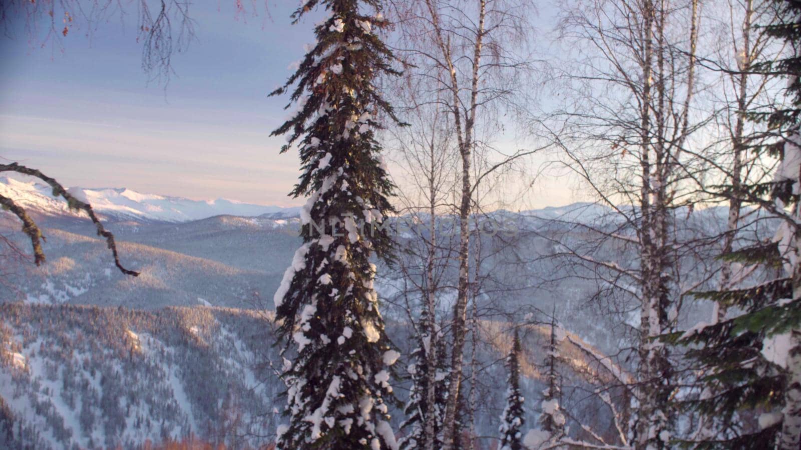 View of the winter forest in the Siberian mountains by Chudakov