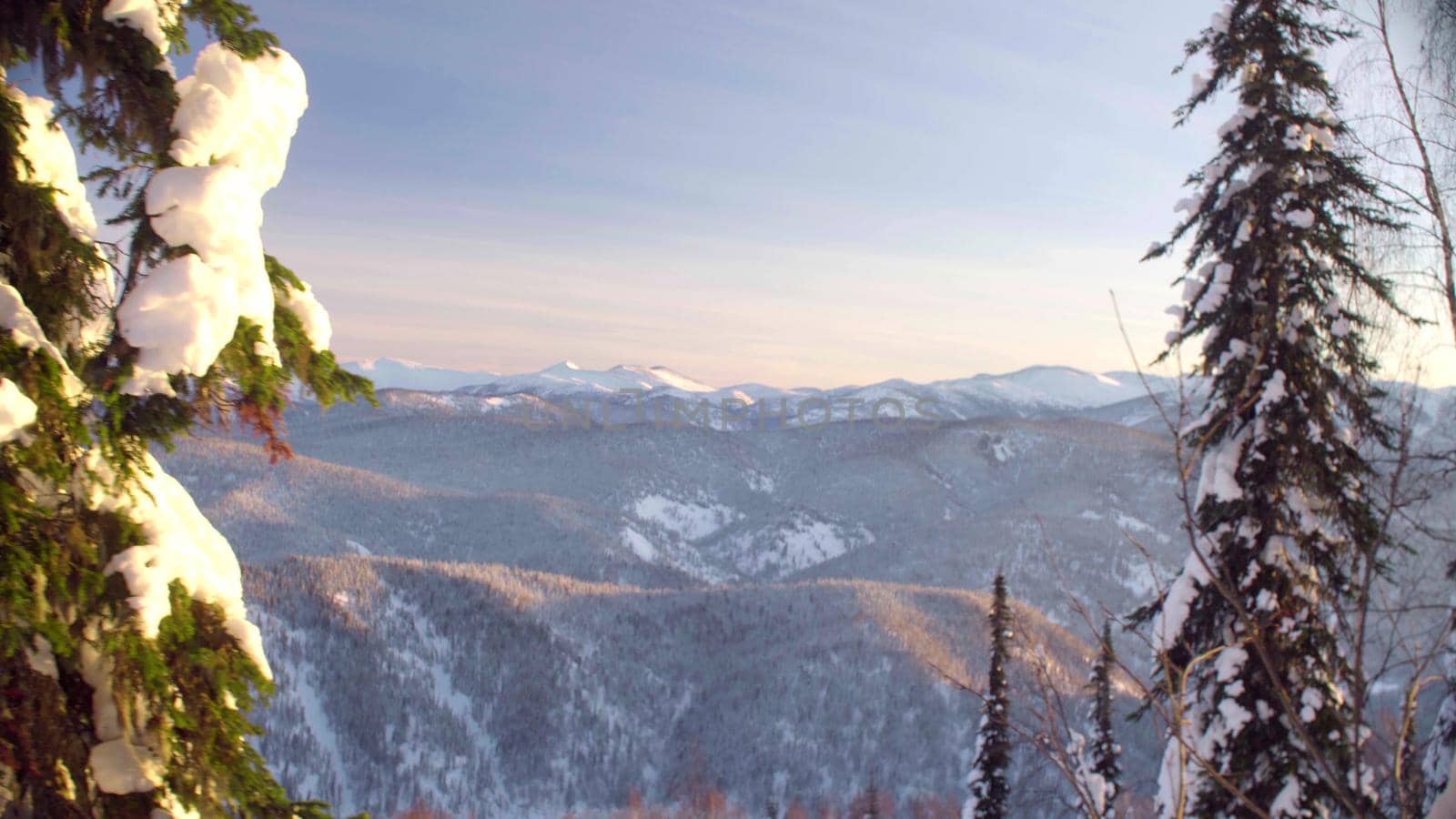 Panoramic view of the winter forest in the Siberian mountains