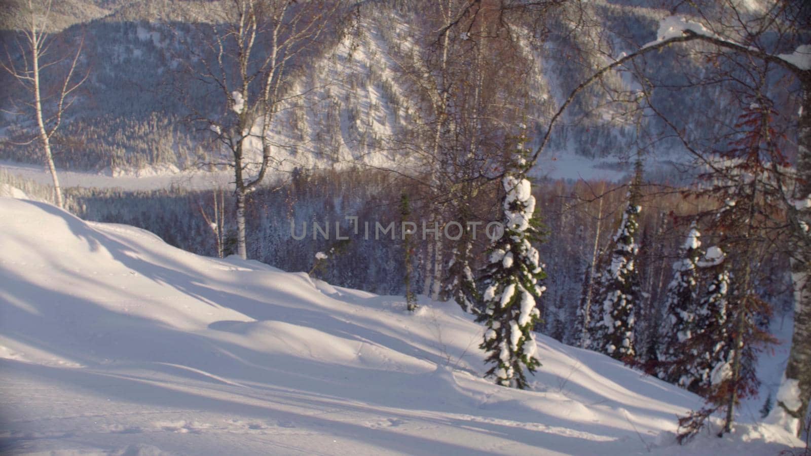View of the winter forest in the Siberian mountains