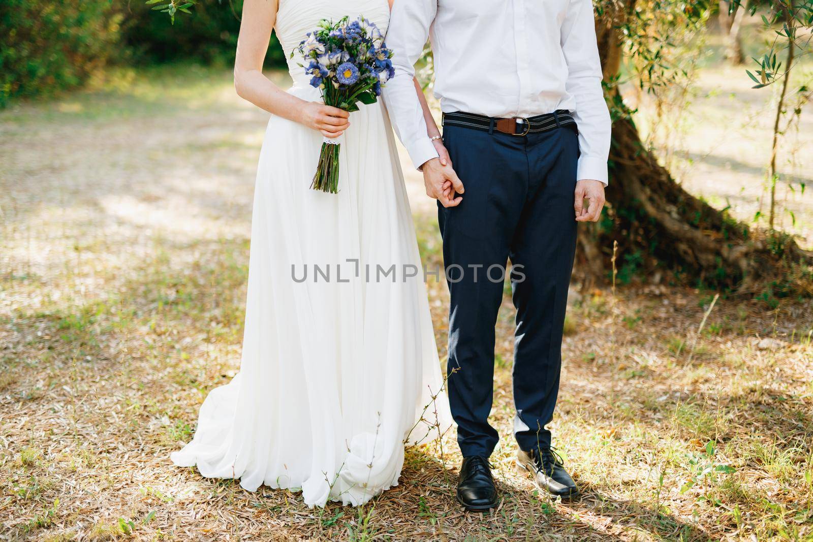 Bride with a bouquet of blue flowers and the groom stand side by side in the olive grove and hold hands. High quality photo