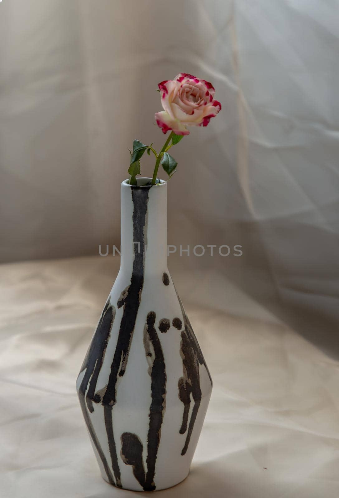 Pink flower in Black and White handmade ceramic vase and on Blush textured table cloth. Home decor, Copy space, Selective focus.