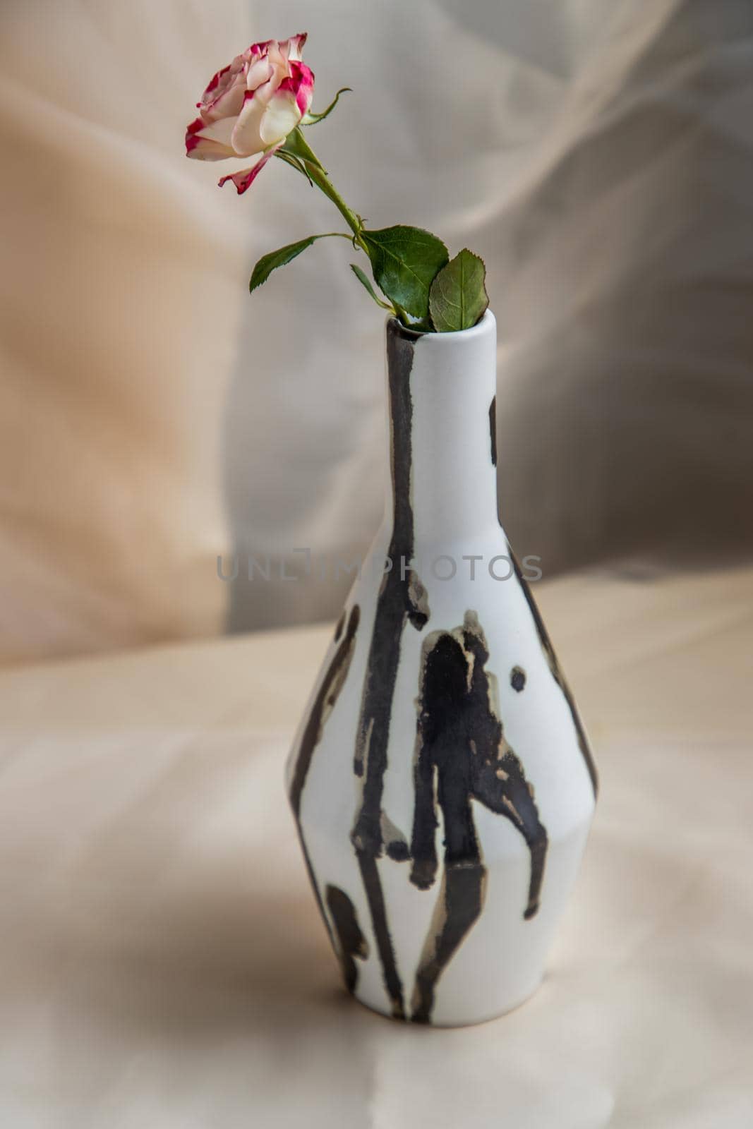 Flower in Black and White handmade ceramic vase and on Blush textured table cloth. Home decor, Copy space, Selective focus.