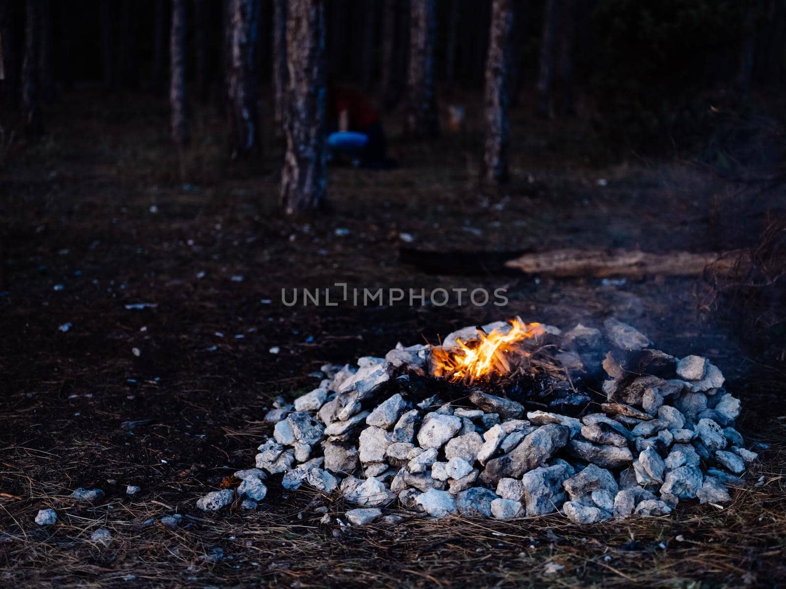 kindled fire in nature in the forest and trees In the background. High quality photo