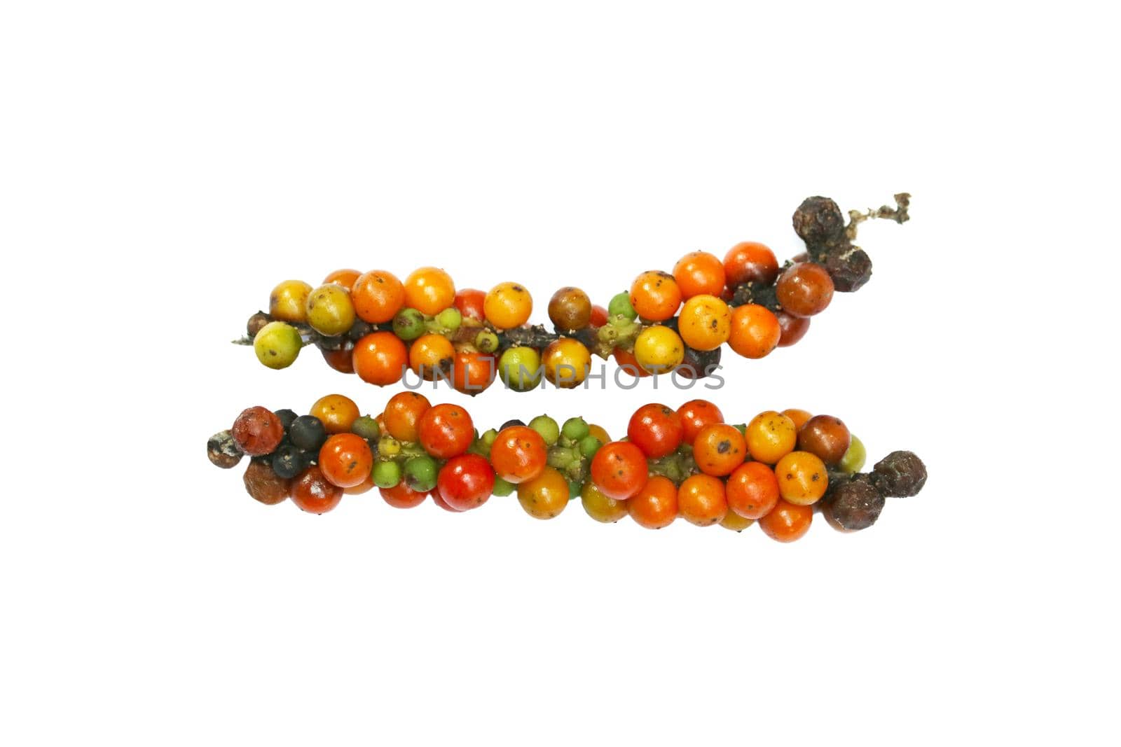 raw fresh and dry of pepper colorful and multicolor isolated background