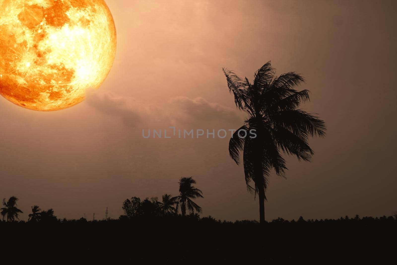 Full harvest blood moon and silhouette coconut tree in the field and night sky by Darkfox