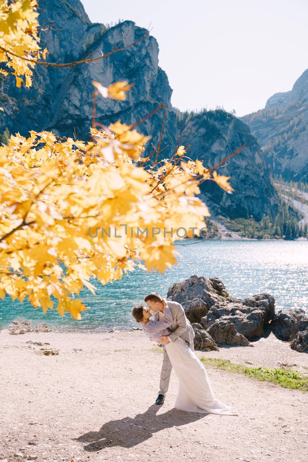 Bride and groom under an autumn tree, with fiery yellow foliage, at the Lago di Braies in Italy. Destination wedding in Europe, on Braies lake. Lovers newlyweds kiss in a dance. by Nadtochiy