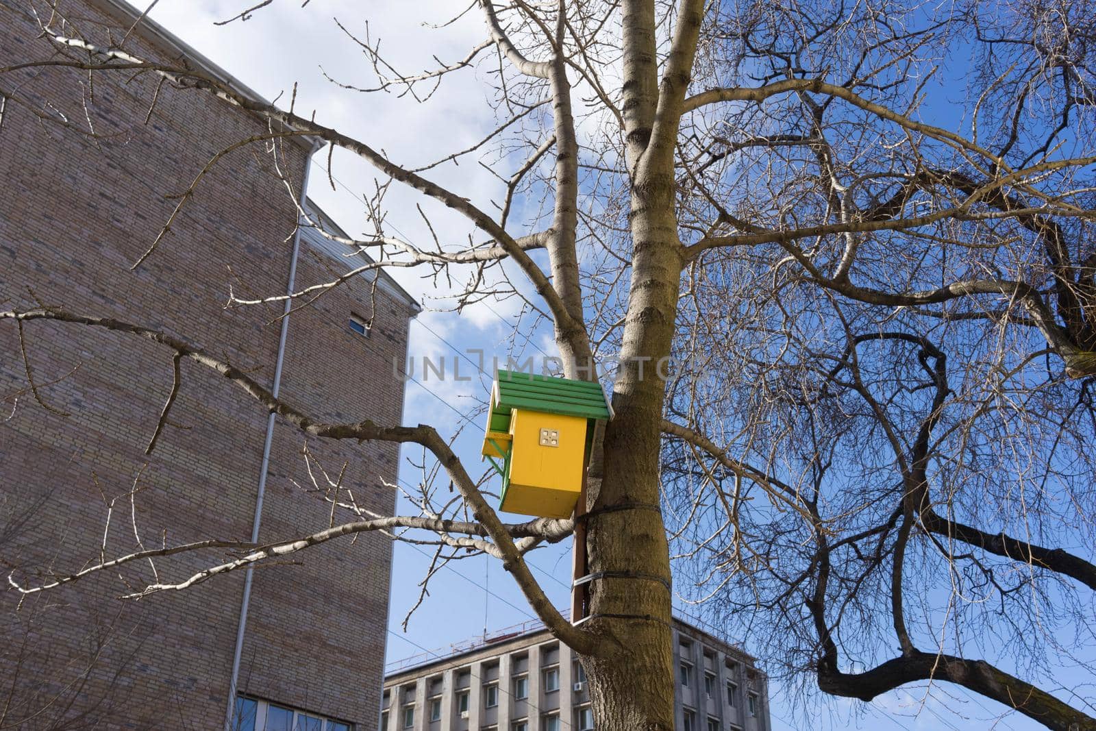 Urban landscape with bird houses on the background of trees without leaves.