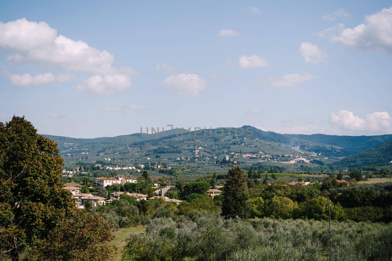 View on the olive groves from the old villa in Italy, in Tuscany, near Florence.