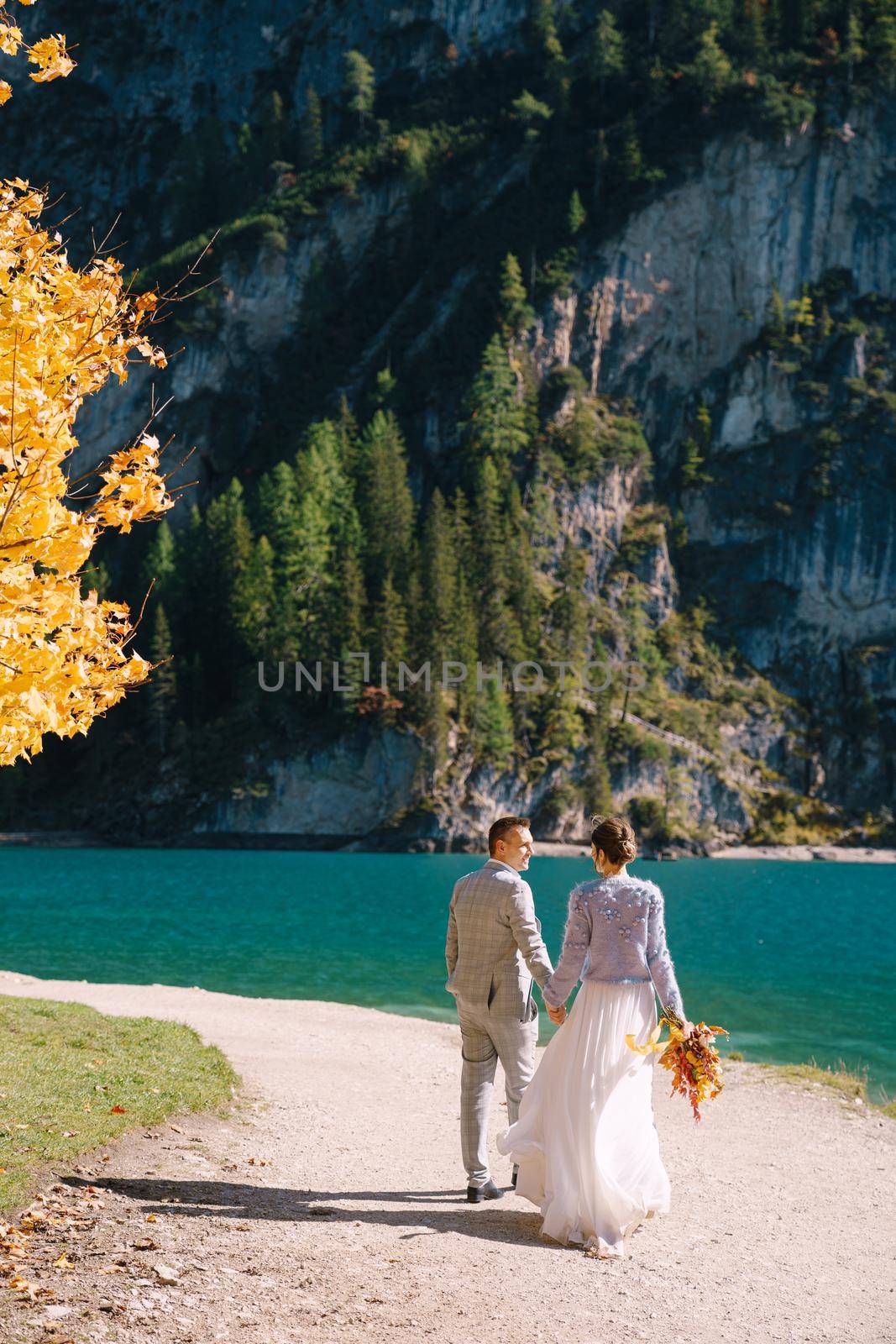 Bride and groom under autumn tree, with fiery yellow foliage, at Lago di Braies in Italy. Destination wedding in Europe, at Braies lake. In love newlyweds run after each other.