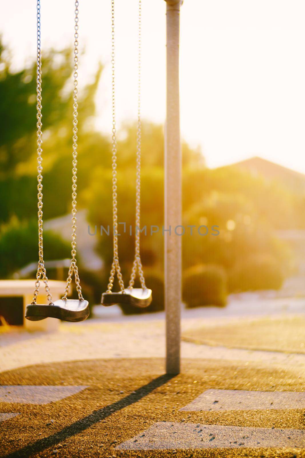 Children's swings on the chain in the park. The glare of the sun at sunset in the branches of the palm tree